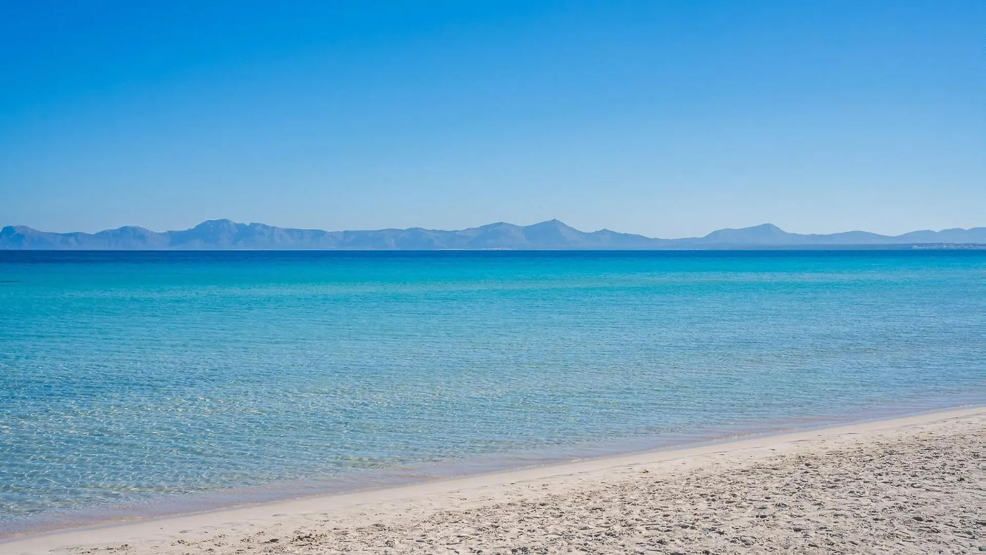 Ideal Property Mallorca - Xiscama Alcudia  0*, Alcudia (Mallorca) Spain