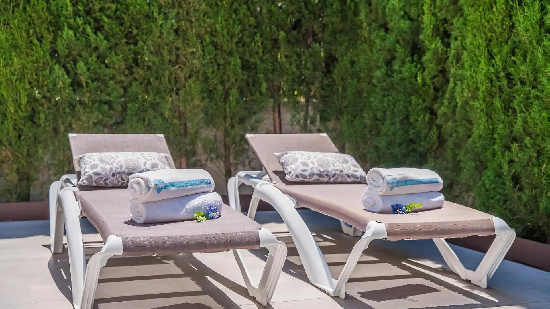 Ideal Property Mallorca - Xiscama アルクディア